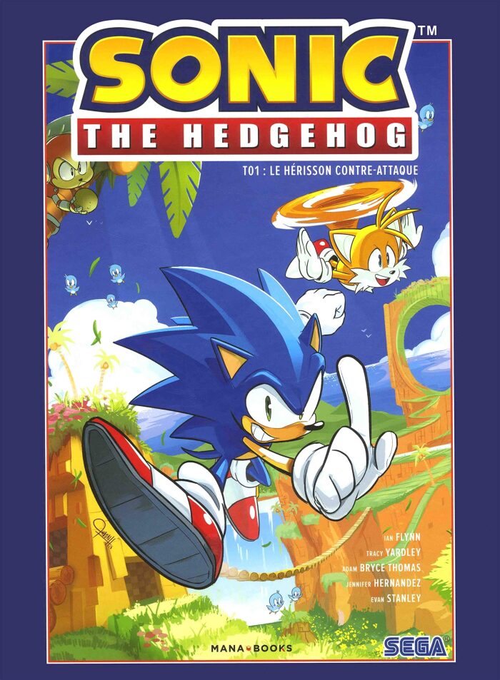 Sonic T01 Le hérisson contre-attaque