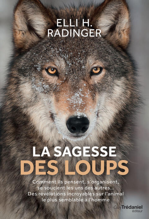 La Sagesse des Loups: Comment Ils Pensent, S'organisent, se Soucient des Autres