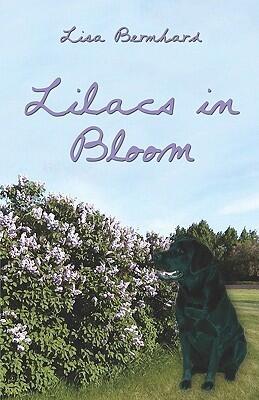 Lilacs In Bloom