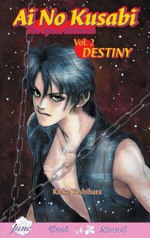 Ai No Kusabi The Space Between Volume 2: Destiny