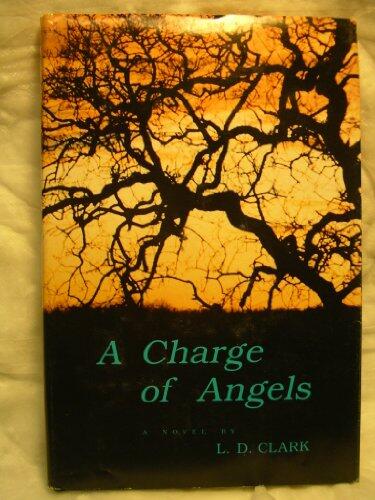 A Charge of Angels