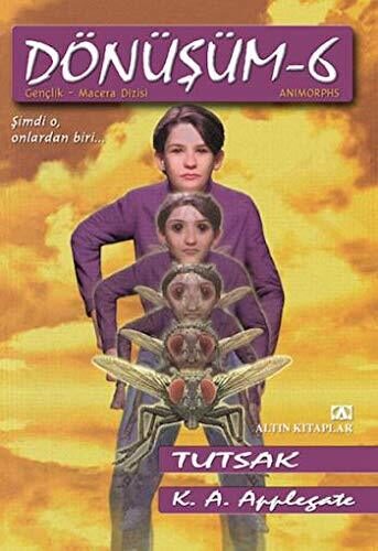 Dönüşüm 6