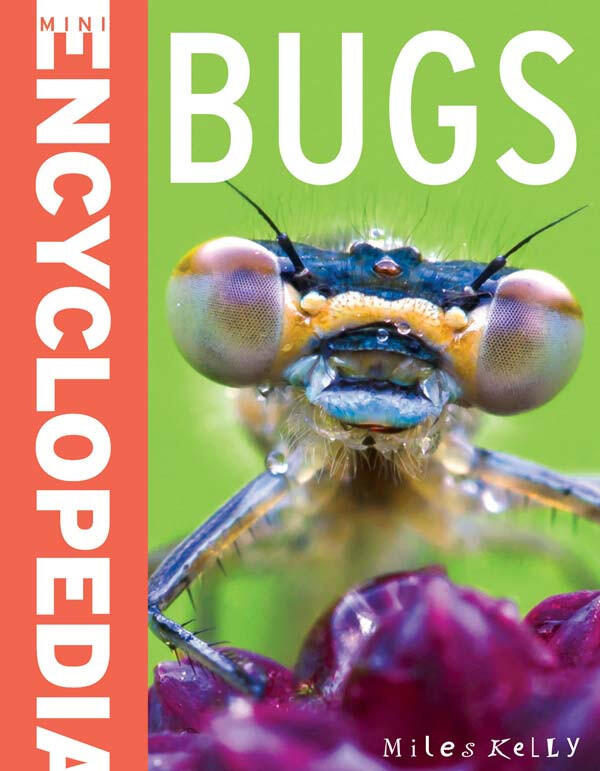 Bugs