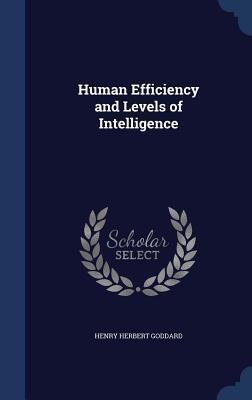 Human Efficiency and Levels of Intelligence