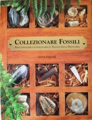 Collezionare fossili per conoscere e catalogare le tracce della preistoria