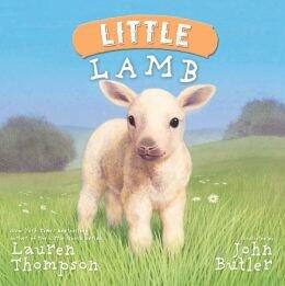 Little Lamb Hardcover