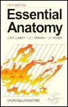 Essential Anatomy and Some Clinical Applications