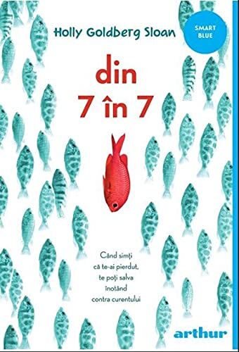 Din 7 In 7