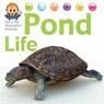 Pond Life