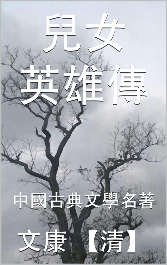 兒女英雄傳: 中國古典文學名著