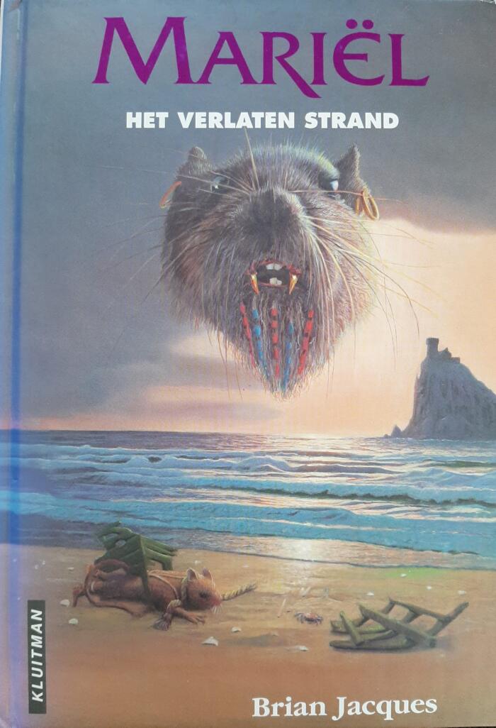 Het verlaten strand