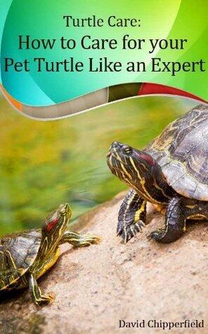 Turtle Care: How to Care for Pet Turtles Like an Expert.