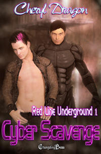Cyber Scavenge
