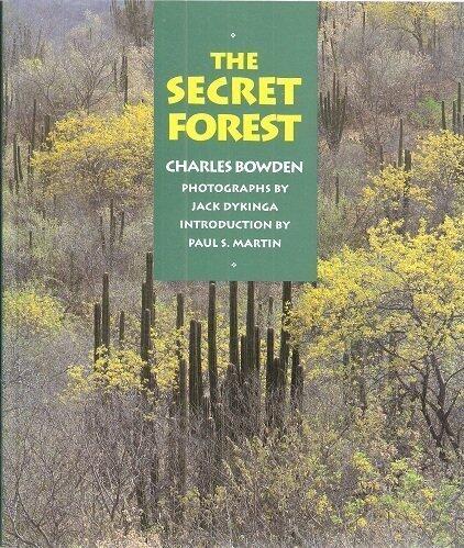 The Secret Forest