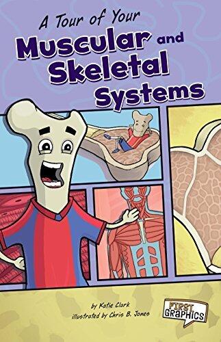 A Tour of Your Muscular and Skeletal Systems