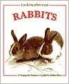 Looking After Your Rabbits