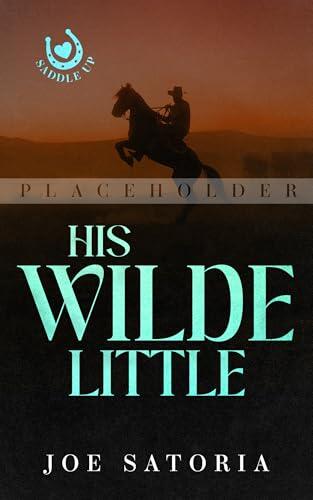His Wilde Little: An MM Cowboy Daddy Romance