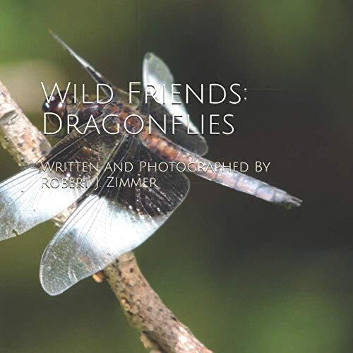 Wild Friends: Dragonflies