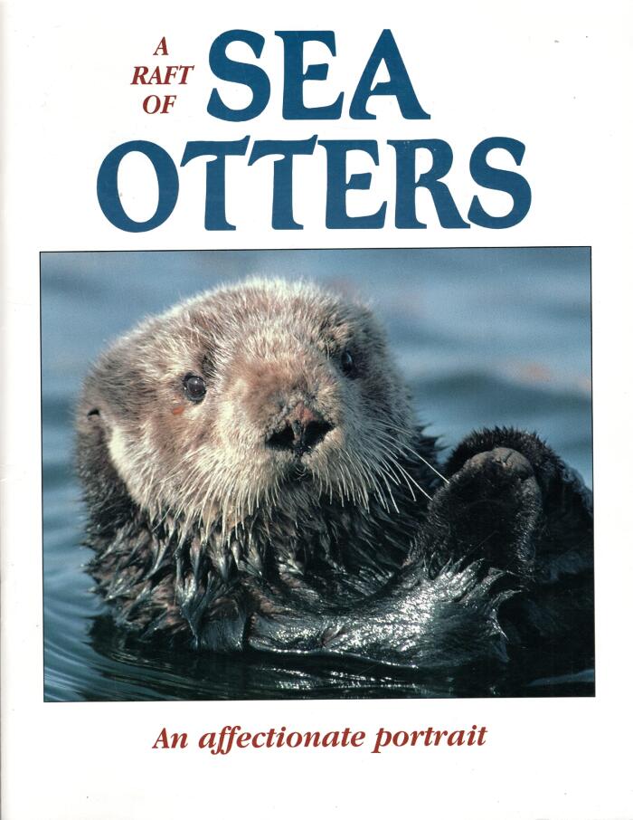 A Raft of Sea Otters