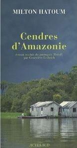 Cendres d'Amazonie