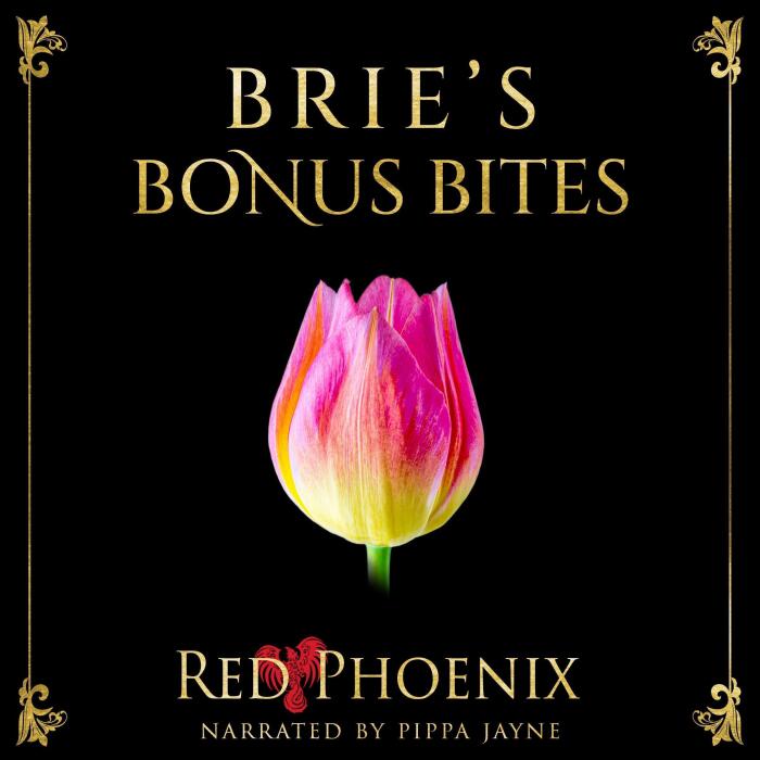Brie's Bonus Bites: Brie's Submission