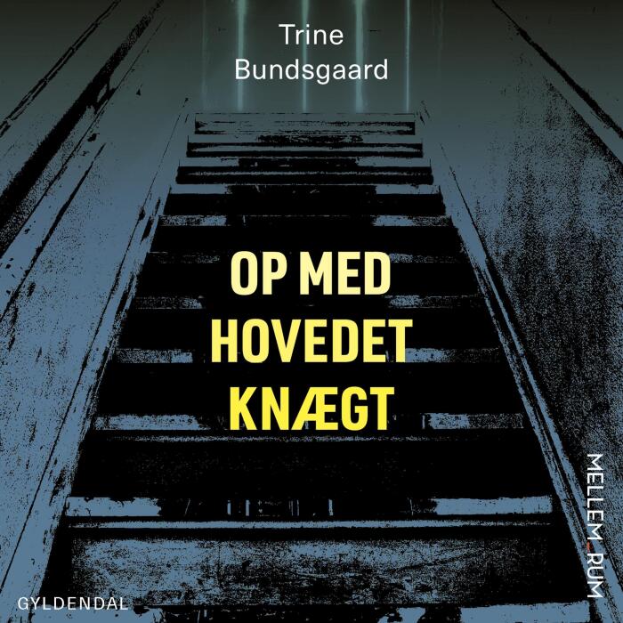 Op med hovedet knægt