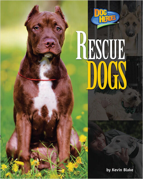 Rescue Dogs