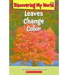 Leaves Change Colors