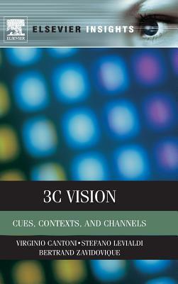 3C Vision: Cues, Context and Channels