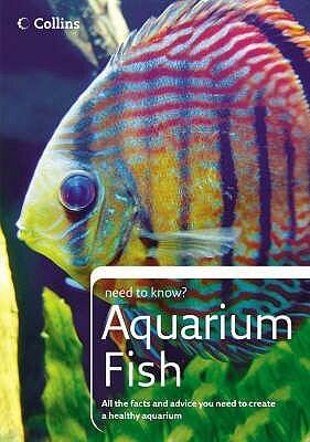 Aquarium Fish