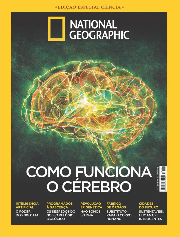 Como Funciona o Cérebro
