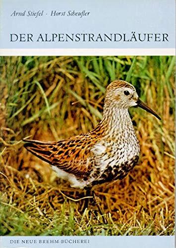 ALPENSTRANDLÄUFER 592 CALIDRIS ALPINA