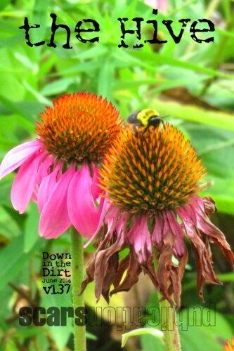 the Hive: "Down in the Dirt" magazine v137