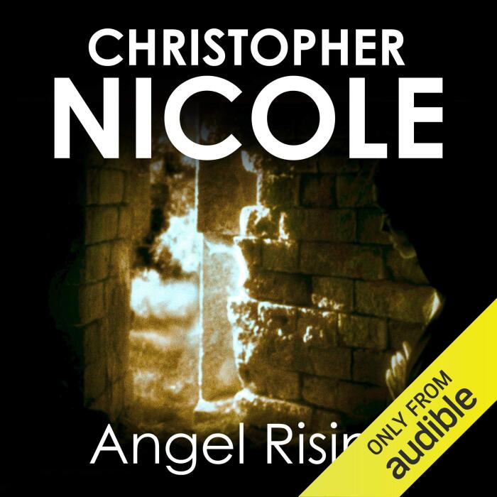 Angel Rising: Angel Fehrbach Series, Book 6