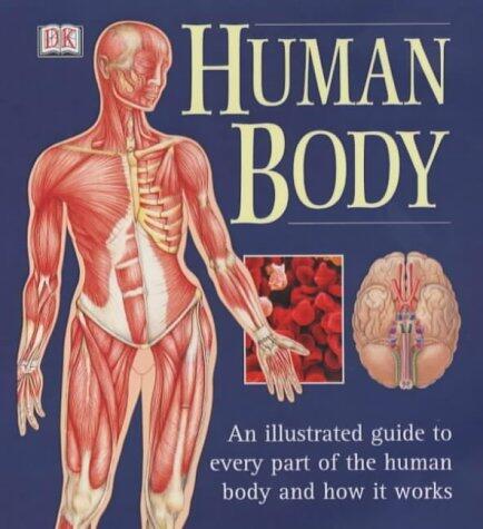 The Human Body