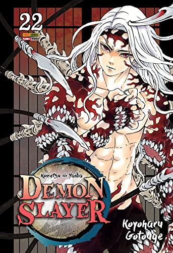 Demon Slayer, Vol. 22