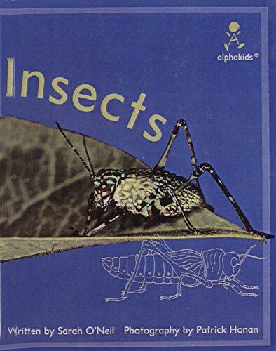 Insects