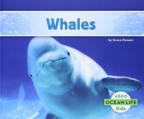 Whales