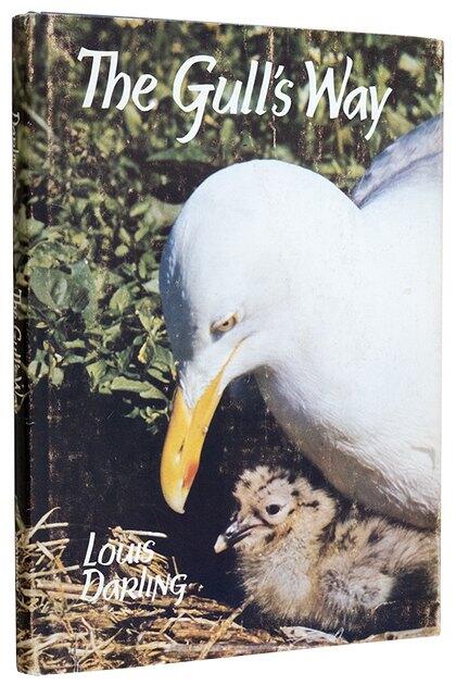 The Gull's Way