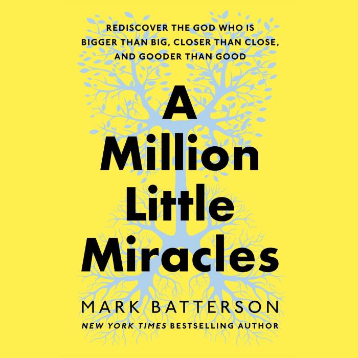 A Million Little Miracles: Rediscover the God Who Is Bigger Than Big, Closer Than Close, and Gooder Than Good