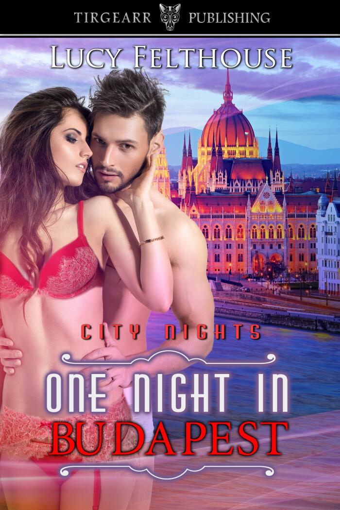 One Night in Budapest: City Nights Series: #20