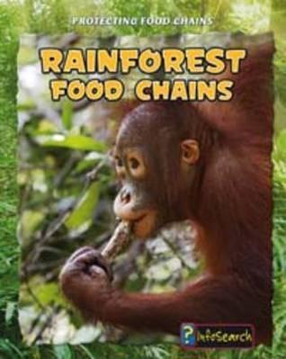 Rainforest Food Chains