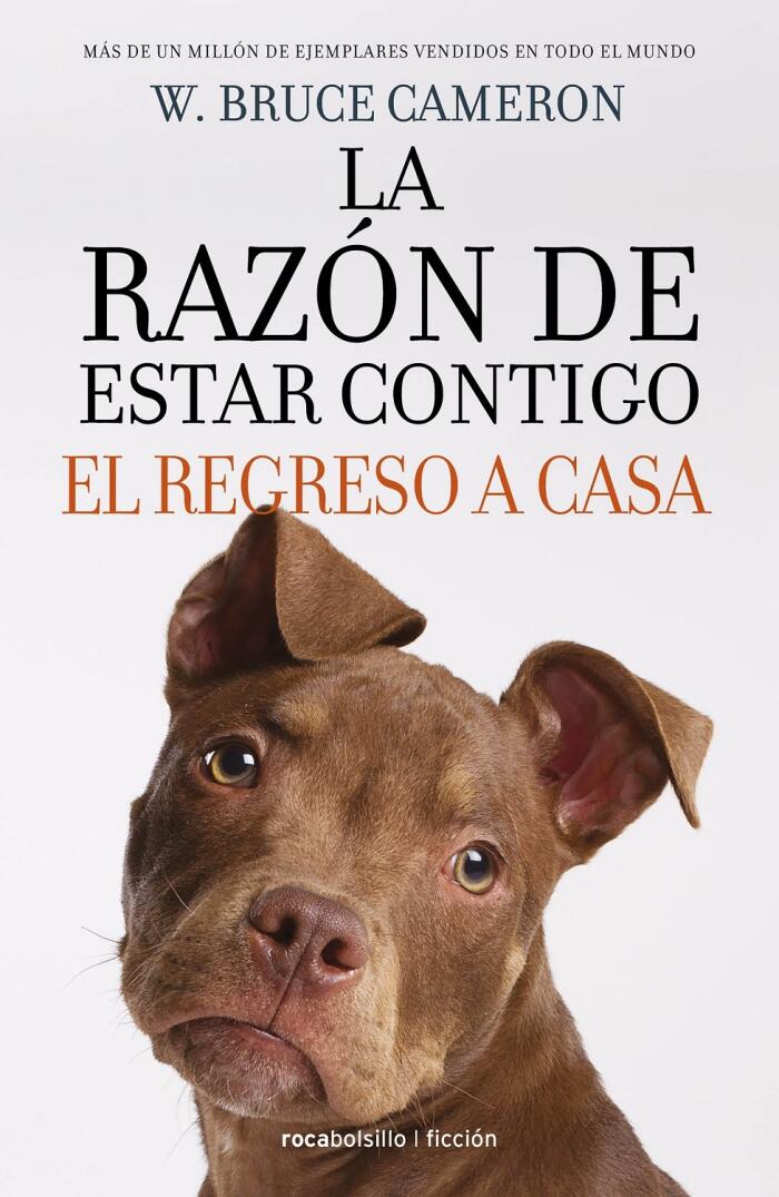 El regreso a casa