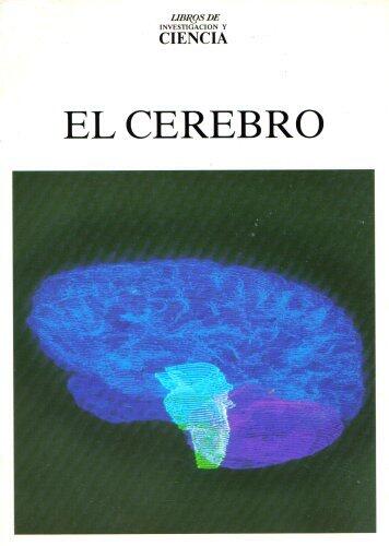 El Cerebro