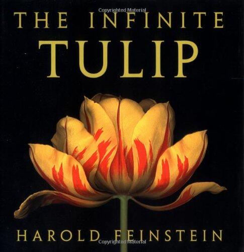 The Infinite Tulip