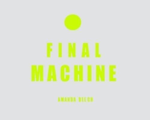 Final Machine by Beech, Amanda, Crone, Bridget, Negarestani, Reza (2013) Paperback