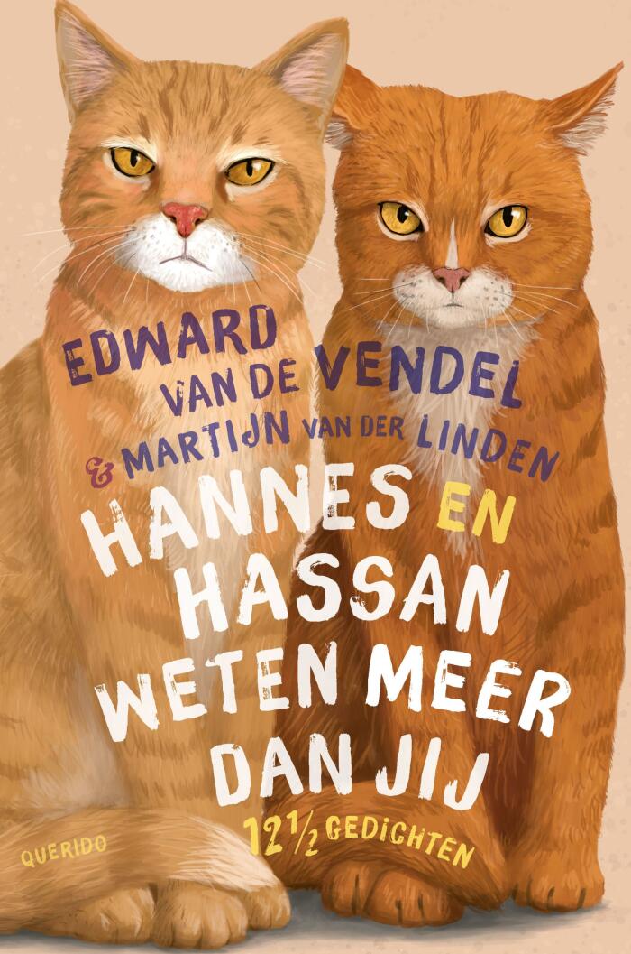 Hannes en Hassan Weten Meer Dan Jij: 12 ½ Gedichten