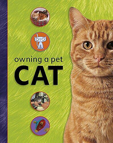 Owning A Pet: Cat