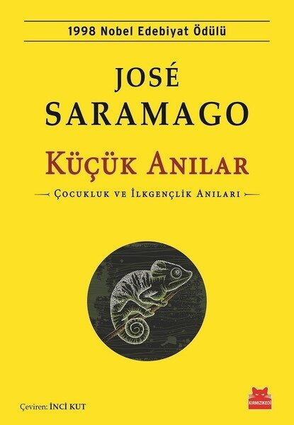 Küçük Anılar: Çocukluk ve İlkgençlik Anıları