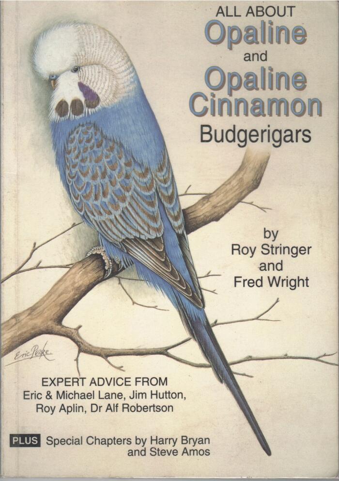 All about Opaline and Opaline Cinnamon Budgerigars
